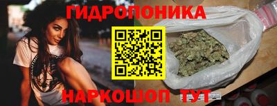 ешки Будённовск