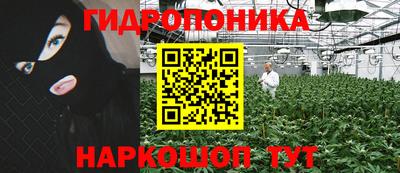 ешки Будённовск