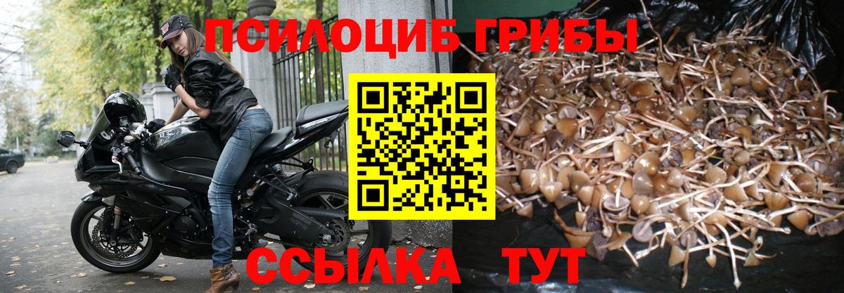 Галлюциногенные грибы мухоморы  Вход с VPN  Иркутск 